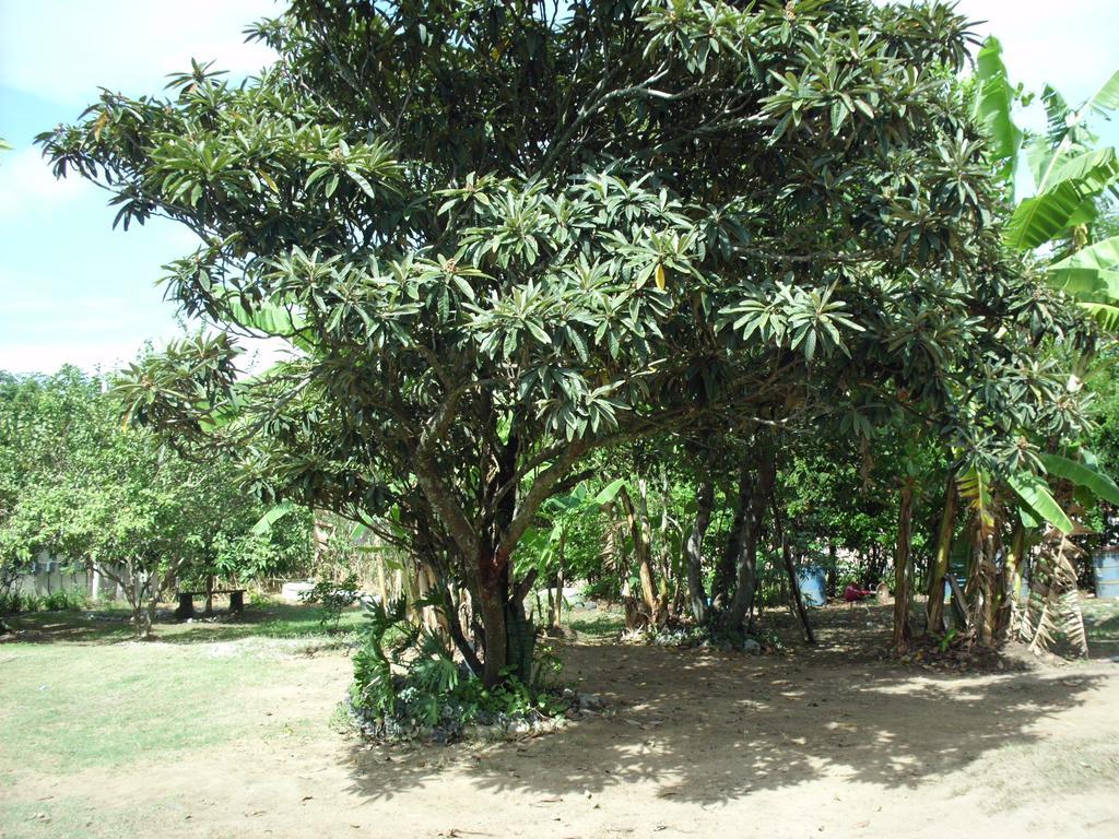 Pousada Pimenta Rosa Saquarema Extérieur photo