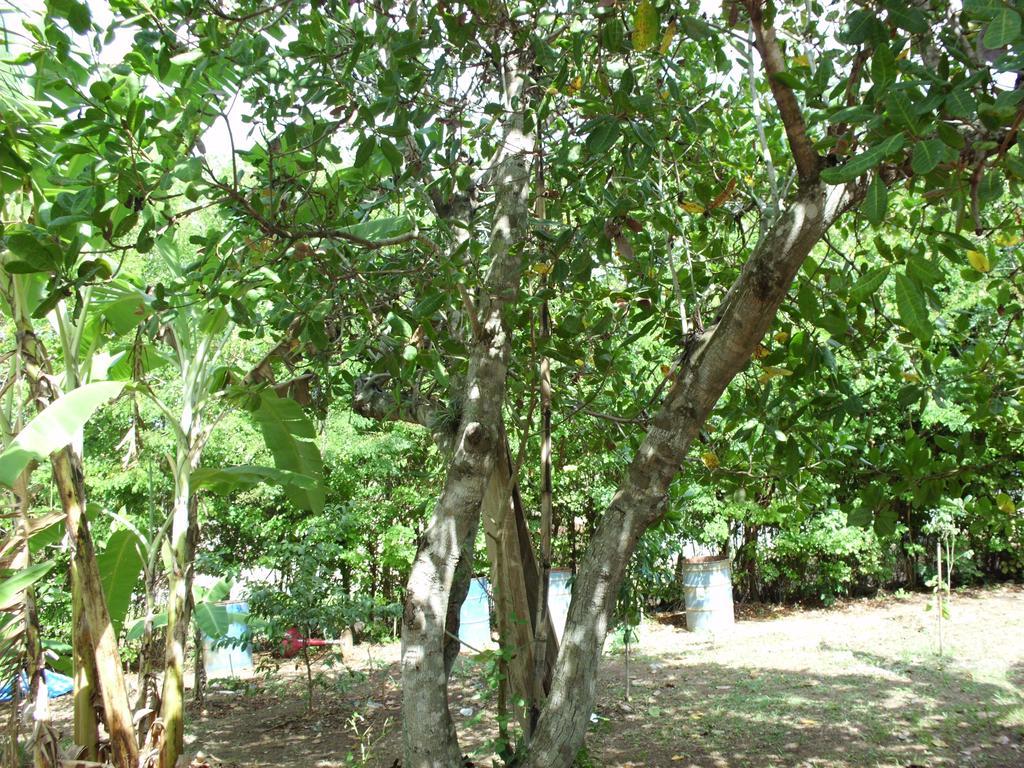 Pousada Pimenta Rosa Saquarema Extérieur photo